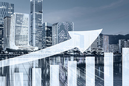 808钱包颁布2019年三季报，，净利润同比增长24.81%