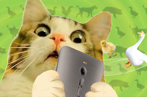 FRIDAY专栏 | 被憋疯的职场人，养起了猪牛羊鱼鸟...